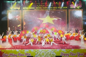 The festive atmosphere welcoming the Year of the Horse 2026 fills communities across the country. (Photo: VNA)