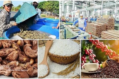 Agro-forestry-fishery exports rise over 14% in H1