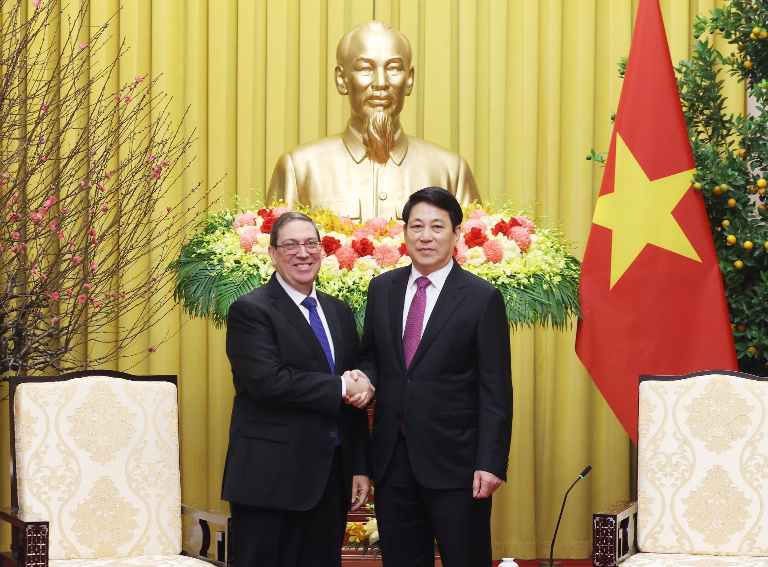 State President Luong Cuong (R) and Bruno Rodríguez Parrilla, Politburo member and Minister of Foreign Affairs of Cuba. (Photo: VNA)