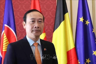 Vietnamese Ambassador to Belgium Nguyen Van Thao. (Photo: VNA)