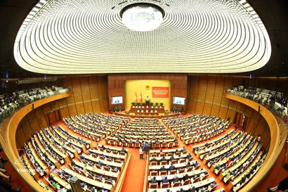 An overview of the conference (Photo: VNA)