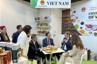 The Vietnamese Embassy in Italy takes part in the 41st Macfrut agricultural fair in Rimini, Emilia-Romagna, with a booth highlighting Vietnam’s fruit garden with oriental spices and herbs. (Photo: VNA)