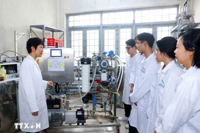 Vietnam’s human resources quality has increasingly improved, with policies on comprehensive human development becoming more complete, focused and practical (Photo: VNA)