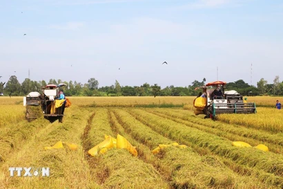 Breakthrough policies, coupled with swift implementation, raise public expectations for an improved quality of life. (Photo: VNA)