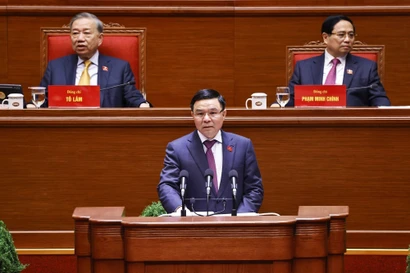 Acting Minister of Industry and Trade Le Manh Hung delivers a speech at a discussion during the 14th National Party Congress on January 21 (Photo: VNA)