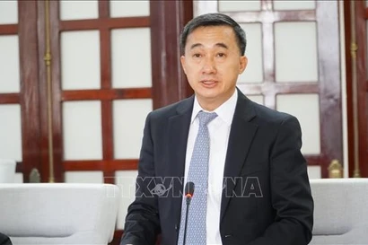 Professor Dr Tran Van Thuan, Deputy Minister of Health. (File photo: VNA)