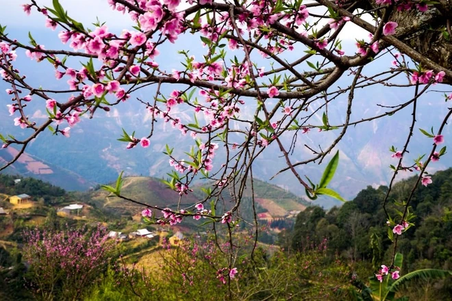 Weekly Highlights: People nationwide, overseas Vietnamese joyfully welcome Lunar New Year 2026