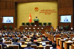 First extraordinary session of 16th National Assembly opens
