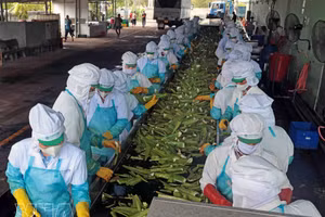 Emulation drive launched to realise socio-economic development goals for 2026–2030