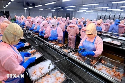 Vietnam among France’s five most promising export markets: Bpifrance 