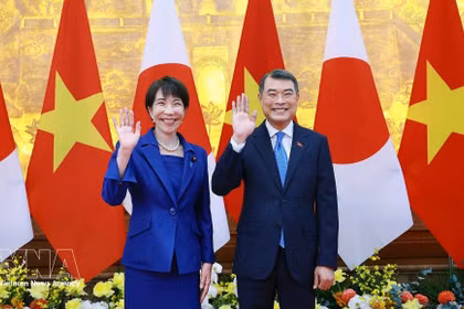 Vietnam, Japan push for more substantive, effective ties 