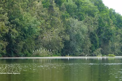 Local initiatives drive Vietnam’s push to protect biodiversity for sustainable future 