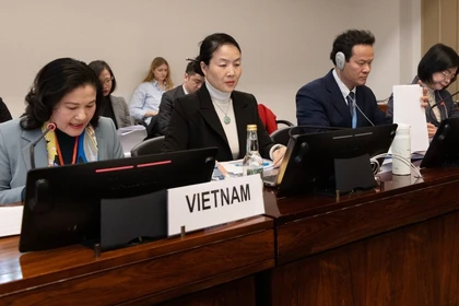 Gender equality remains consistent objective in Vietnam’s development process: official