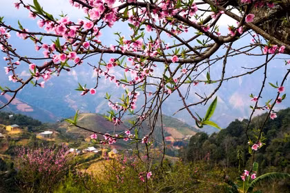 Weekly Highlights: People nationwide, overseas Vietnamese joyfully welcome Lunar New Year 2026