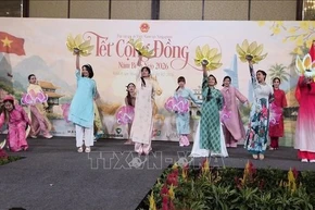 Lunar New Year celebrations strengthen bonds among Vietnamese communities abroad