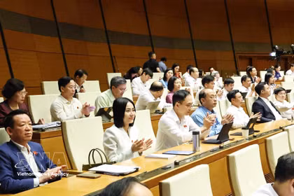 Delegates at the the first session of the 16th National Assembly. (Photo: VNA)