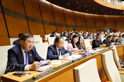 NA deputies at the discussions (Photo: VNA)