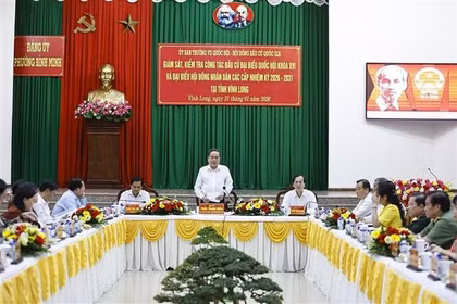 National Assembly Chairman Tran Thanh Man speaks at the working session with the Vinh Long provincial Election Committee on January 31. (Photo: VNA)