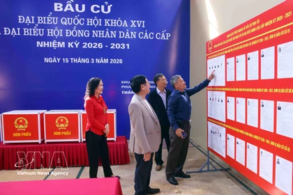 Voters study information of candidates before the polling day. (Photo: VNA)