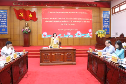 National Assembly Vice Chairwoman Nguyen Thi Thanh speaks at the working session in Tay Ninh province on February 6 (Photo: VNA)
