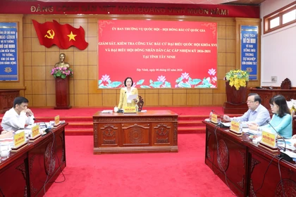 National Assembly Vice Chairwoman Nguyen Thi Thanh speaks at the working session in Tay Ninh province on February 6 (Photo: VNA)