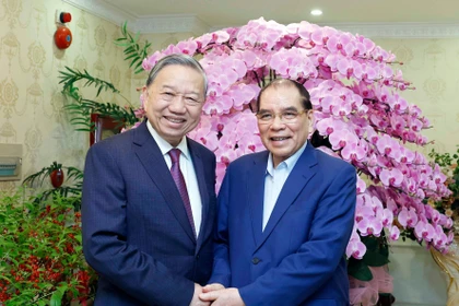 Party General Secretary To Lam (L) and former Party General Secretary Nong Duc Manh in Hanoi on February 2 (Photo: VNA)