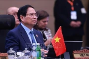 Vietnam continues to fully implement commitments under RCEP: PM