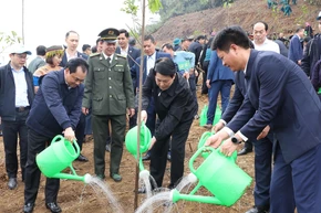 State President attends tree-planting festival launch in Lao Cai 