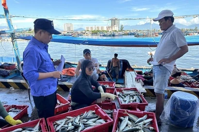 Vietnam launches action plan for peak month against illegal fishing