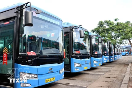 Free metro and bus rides offered in Ho Chi Minh City on the election day (Photo: VNA)
