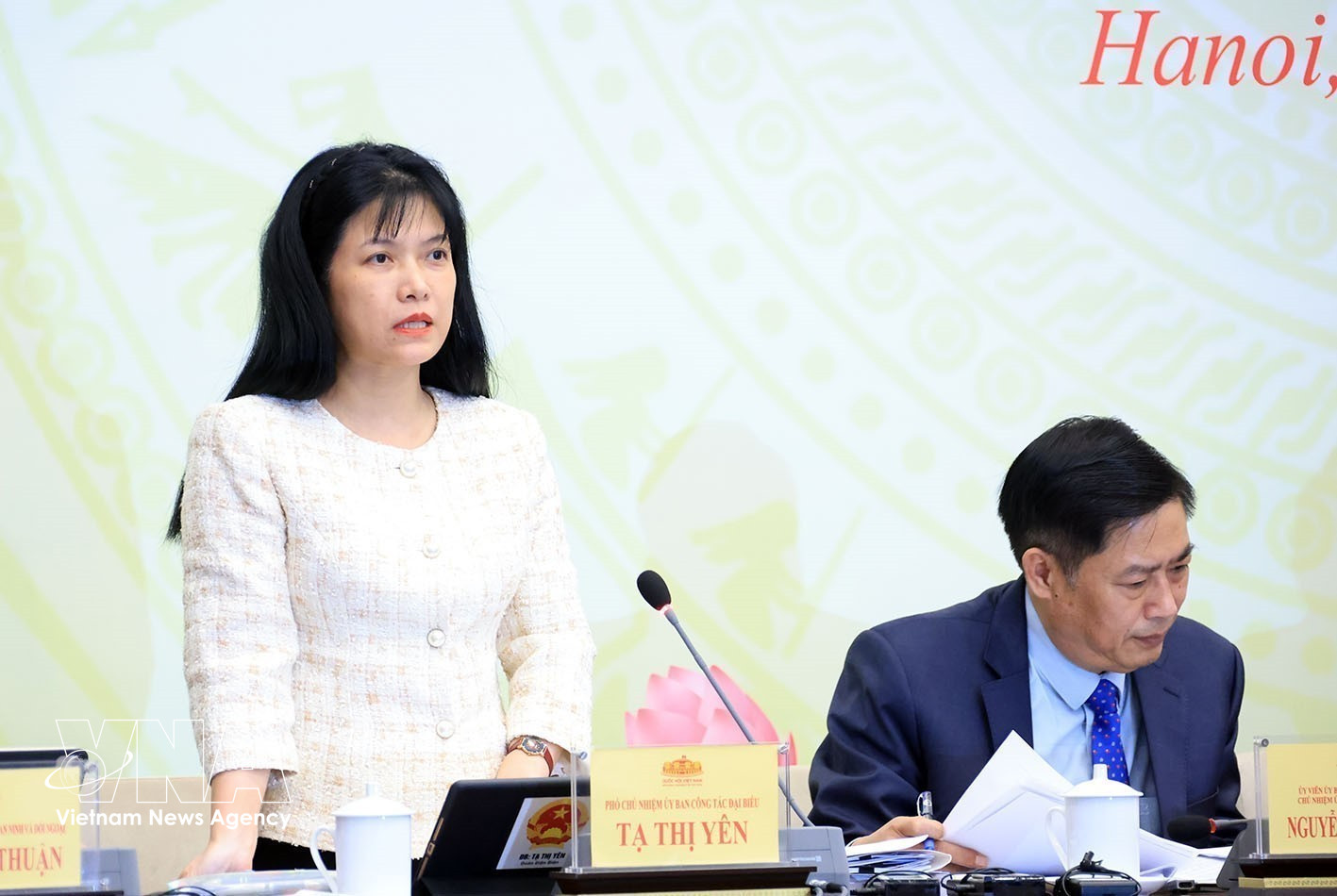 Ta Thi Yen, Vice Chairwoman of the National Assembly’s Committee for Deputy Affairs and Standing Deputy Chief of the National Election Council's Office (Photo: VNA)