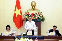 NA Chairman Tran Thanh Man speaks at the meeting (Photo: VNA)