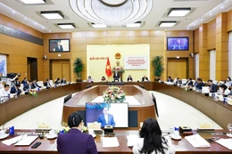 National Assembly Chairman and head of the National Election Council Tran Thanh Man addresses the conference. (Photo: VNA)