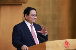 Prime Minister Pham Minh Chinh addresses the meeting (Photo: VNA)
