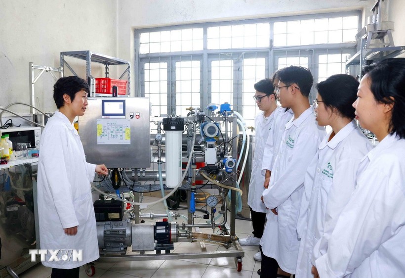 Vietnam’s human resources quality has increasingly improved, with policies on comprehensive human development becoming more complete, focused and practical (Photo: VNA)