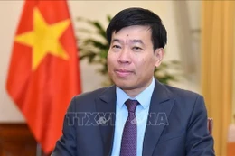 Nguyen Manh Cuong, member of the Party Central Committee, Standing Deputy Secretary of the Party Committee and Deputy Minister of Foreign Affairs. (Photo: VNA)