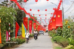 A road in Vinh Long province decorated in celebration of the Election Day (Photo: VNA)