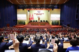 Delegates vote for the adoption of the Resolution of the 14th National Party Congress on January 23 afternoon. (Photo: VNA)