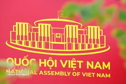 New National Assembly term begins with reform, action focus 