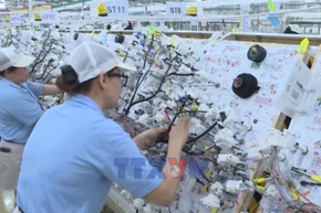 Surging FDI highlights Vietnam’s investment appeal