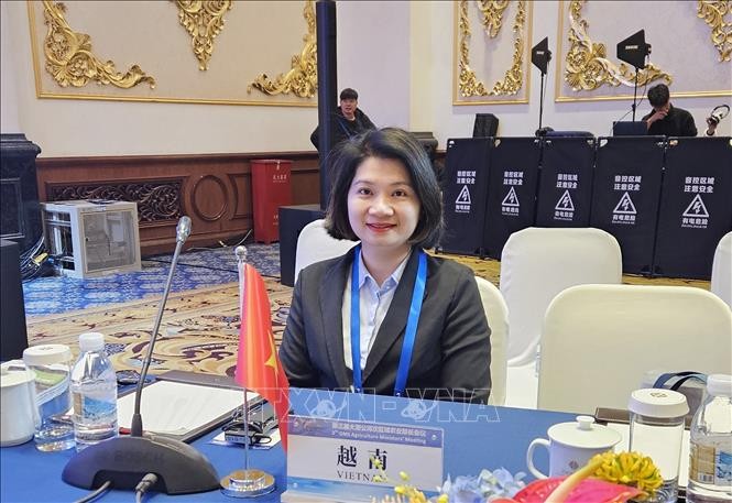 Dr. Pham Thi Thanh Loan, General Director of Guangdong Viet-Viet Tourism and Trade Services Co., Ltd. (Photo: VNA broadcasts)