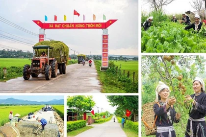 New rural development programme for ethnic minority, mountainous areas approved