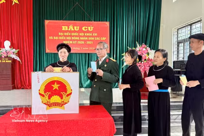 Vietnamese voters cast their ballots (Photo: VNA)
