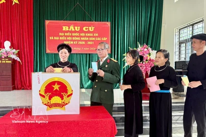 Vietnamese voters cast their ballots (Photo: VNA)