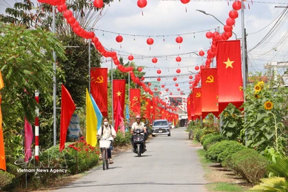 A road in Vinh Long province decorated in celebration of the Election Day (Photo: VNA)