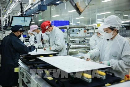 Vietnam’s overseas investment rises 2.3-fold in first two months