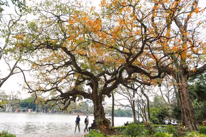 Hanoi named among world’s 50 most beautiful cities by Condé Nast Traveler