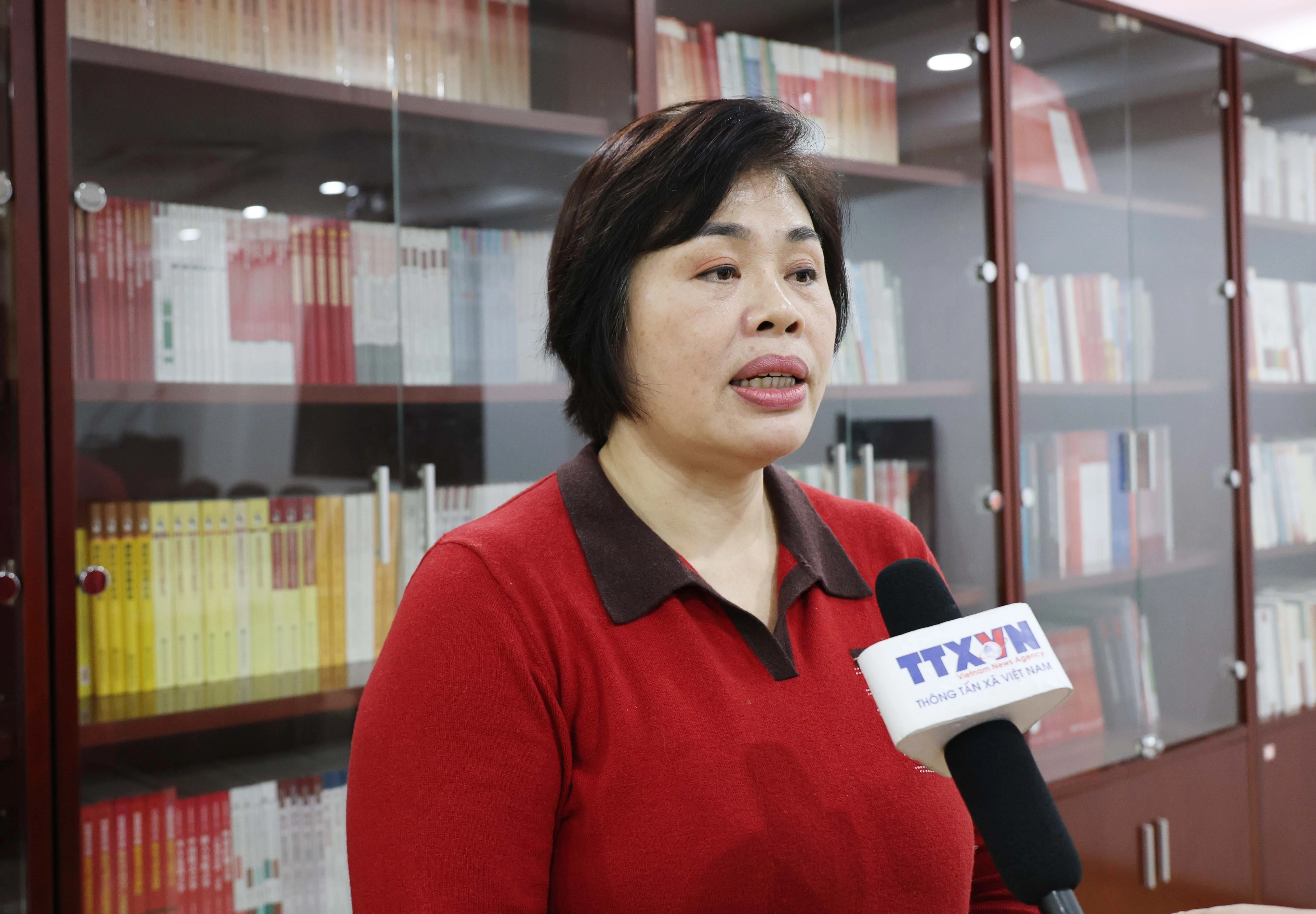 Professor Pan Jin’e, a senior researcher at the Academy of Marxism under the Chinese Academy of Social Sciences (CASS) (Photo: VNA)