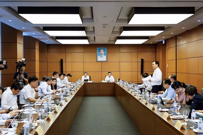 The Ho Chi Minh City NA delegation in a group discussion on three bills related to criminal matters on August 20 (Photo: VNA)