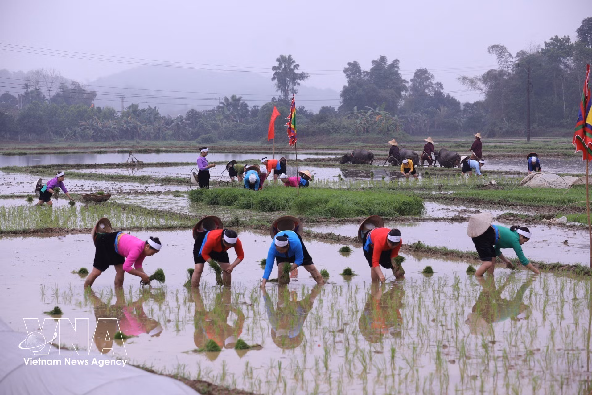 vnanet-muong-bi-04.jpg